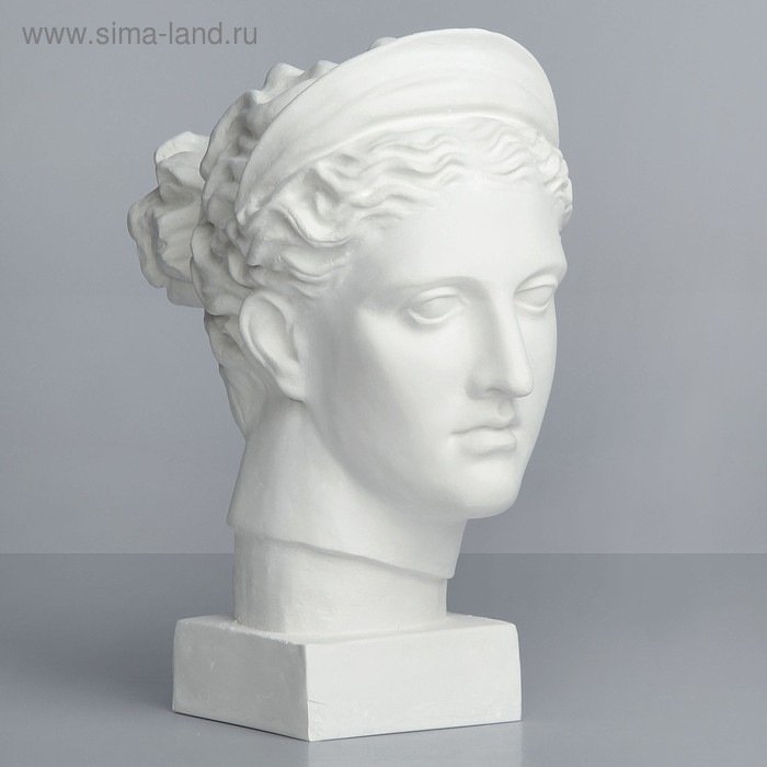 Гипсовая фигура Голова Дианы, 20 х 34 х 37 см Гипсовая фигура Голова Дианы, 20 х 34 х 37 см