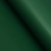 Пленка двухсторонняя для цветов и декора, 0.57&times;0.57 см, зелёный