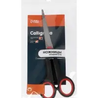 Ножницы канцелярские 16.5 см, &laquo;Стандарт&raquo;, пластиковые ручки, европодвес