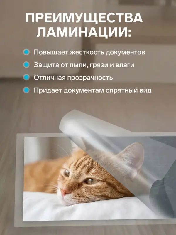 Пленка для ламинирования A3 303&times;426 мм, 60 мкм, 100 штук, глянцевые, Гелеос