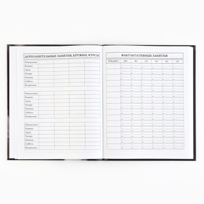 Дневник школьный 5-11 класс, в твердой обложке, 48 л. «Смирение» Дневник школьный 5-11 класс, в твердой обложке, 48 л. «Смирение»