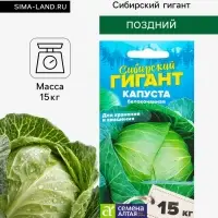 Семена Капуста белокочанная &laquo;Сибирский Гигант&raquo;, 0.3 г, &laquo;Семена Алтая&raquo;