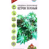 Семена цветов Клещевина декоративная &laquo;Остров Зеленый&raquo; 5 шт.