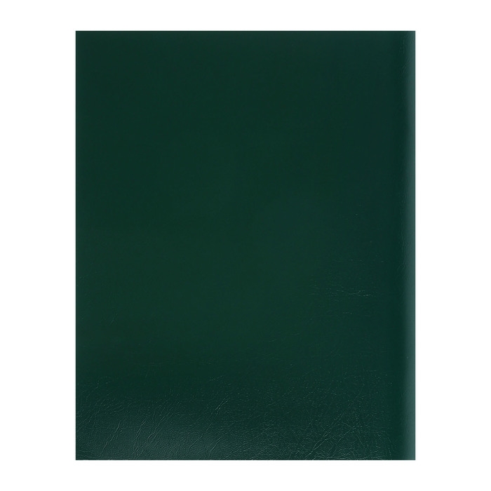 Тетрадь А5, 96 листов в клетку Calligrata бумвинил, блок офсет, зелёный Тетрадь А5, 96 листов в клетку Calligrata бумвинил, блок офсет, зелёный