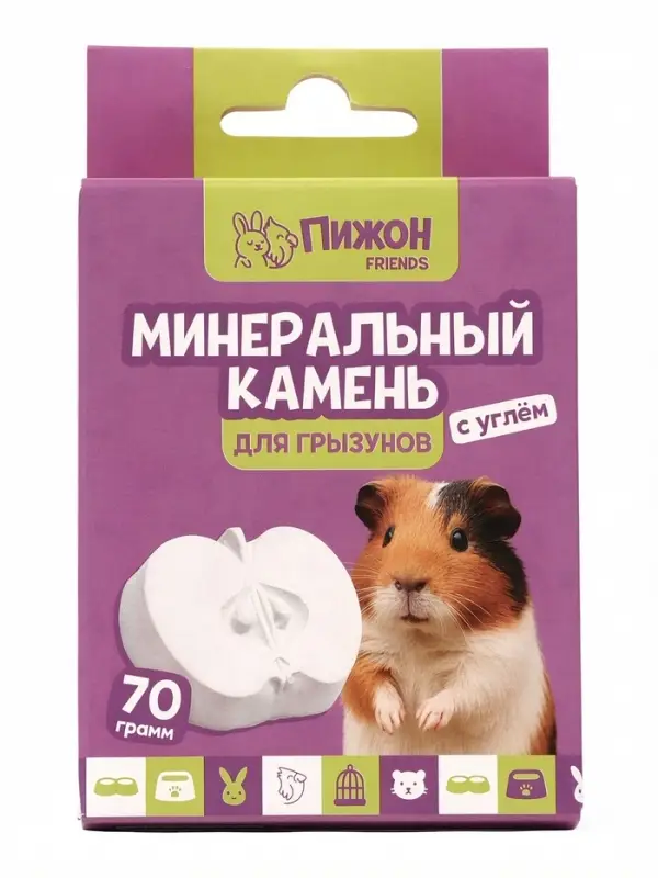 Минеральный камень для грызунов &laquo;Пижон&raquo;, яблоко с углем, 70 г