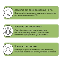 Материал укрывной, 5 × 3,2 м, плотность 80 г/м², спанбонд с УФ-стабилизатором, белый, Greengo, Эконом 30%