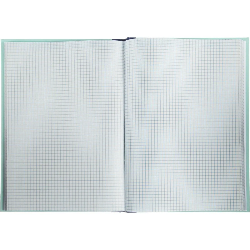 Книга учета амбарная в клетку 96л.обл.плотн.картон г/б