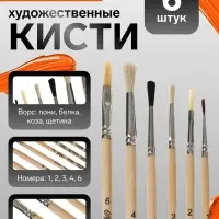 Набор кистей для рисования, пони, белка, коза, щетина, 6 штук: № 1, 2, 2, 3, 4, 6, Calligrata, круглые, плоские, ЭКОНОМ
