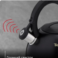 Чайник Kettle ss induction N4180417, для всех видов плит