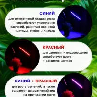 Фитосветильник для растений, светодиодный, 9 Вт, 250 мм, IP66, 5 В, USB, прищепка, таймер, биколорный