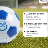 Футбольный мяч ONLYTOP &laquo;Забей&raquo;, машинная сшивка, 32 панели, р. 5, PVC