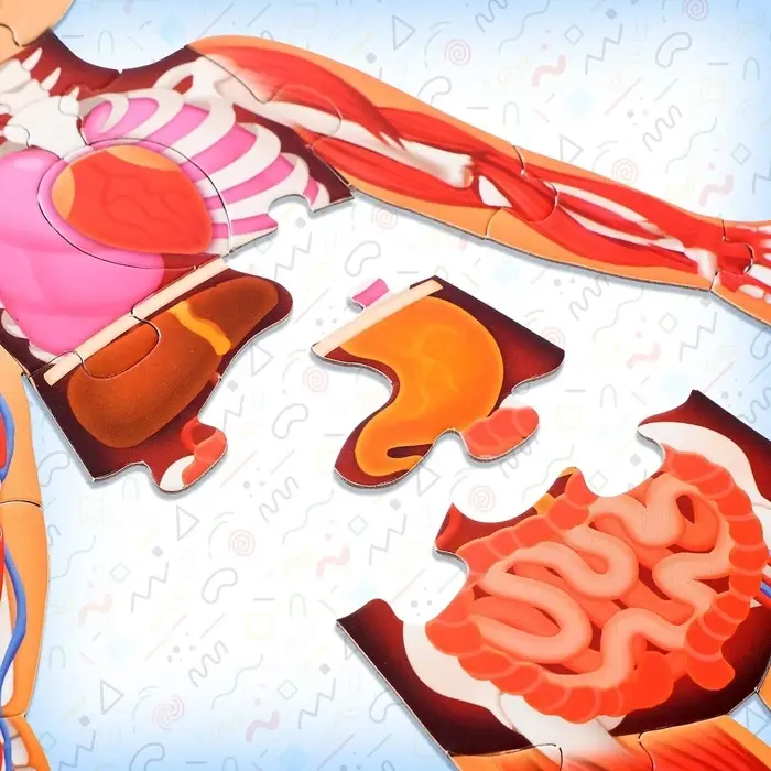 Подарочный набор &laquo;Моё тело&raquo;, пазл с обучающей книгой