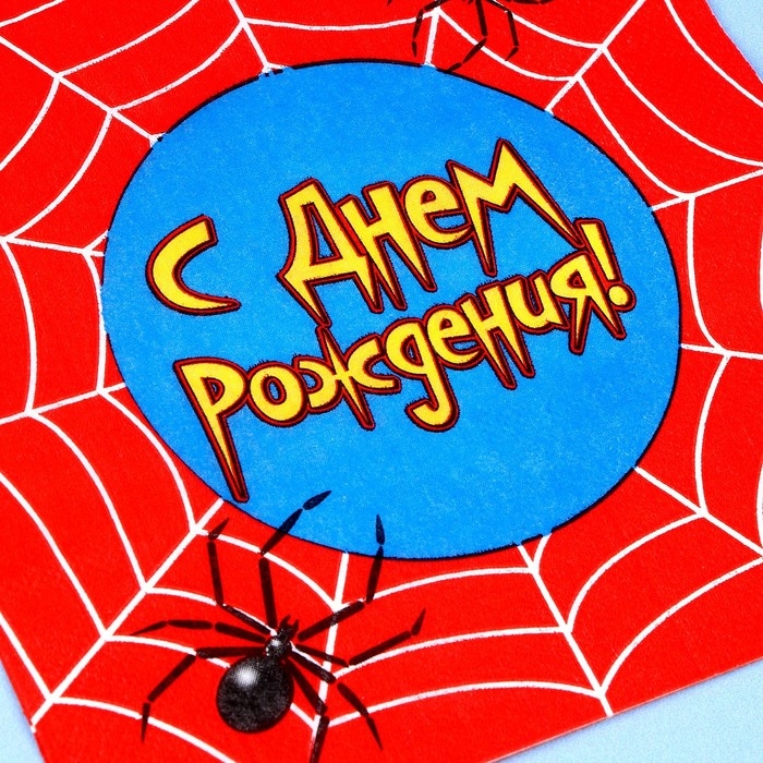 Набор для праздника «С днём рождения. Паутина» Набор для праздника «С днём рождения. Паутина»