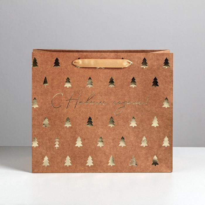 Пакет подарочный новогодний крафтовый горизонтальный «Ёлочки», ML 27 х 23 х 11.5 см, Новый год Пакет подарочный новогодний крафтовый горизонтальный «Ёлочки», ML 27 х 23 х 11.5 см, Новый год