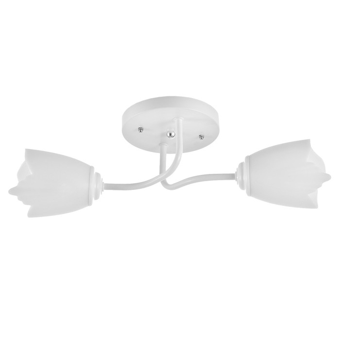 Люстра 1341001/2WT E27 15Вт белый BayerLux Люстра 1341001/2WT E27 15Вт белый BayerLux