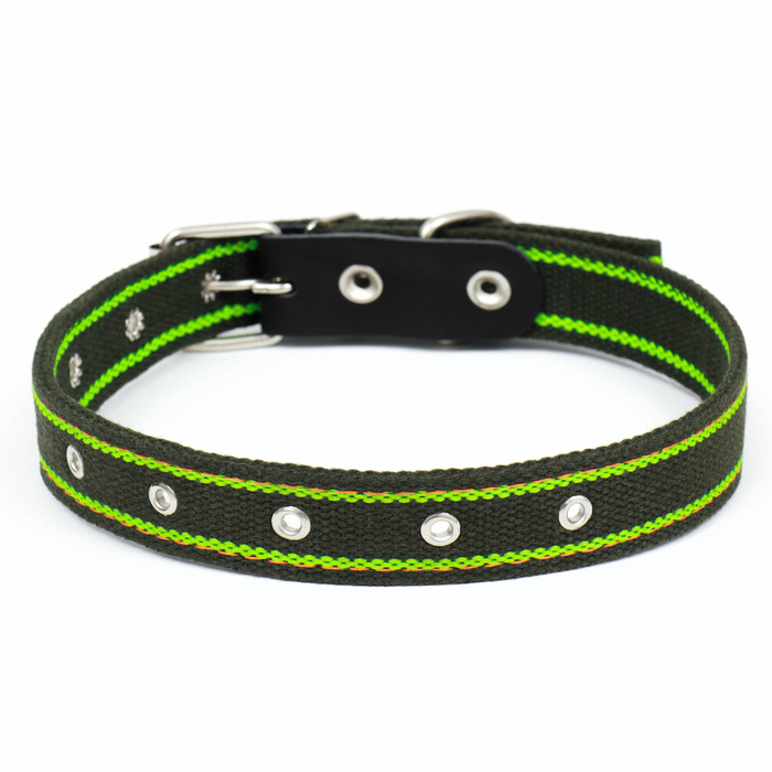 Ошейник брезентовый безразмерный двухслойный, хаки/зелёный, 67 х 3 см, ОШ до 55 см Ошейник брезентовый безразмерный двухслойный, хаки/зелёный, 67 х 3 см, ОШ до 55 см
