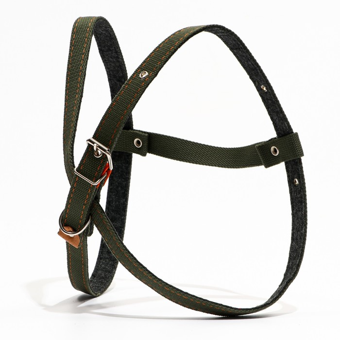 Шлейка брезентовая на фетре многоразмерная, 2,5 см, ОШ 40-60 см,ОГ 40-60 см, тёмно-зелёная Шлейка брезентовая на фетре многоразмерная, 2,5 см, ОШ 40-60 см,ОГ 40-60 см, тёмно-зелёная