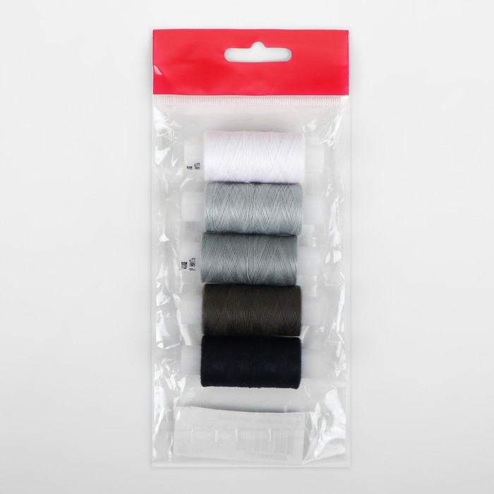 Набор ниток 40ЛШ, 200 м, 5 шт, цвет чёрный спектр Набор ниток 40ЛШ, 200 м, 5 шт, цвет чёрный спектр