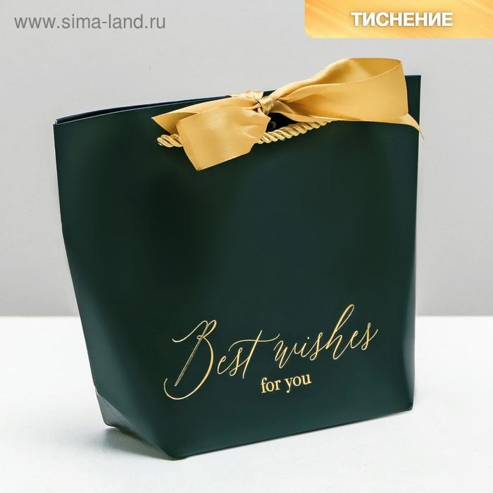 Пакет подарочный, упаковка, Best wishes, 14 х 17 х 7 см Пакет подарочный, упаковка, Best wishes, 14 х 17 х 7 см