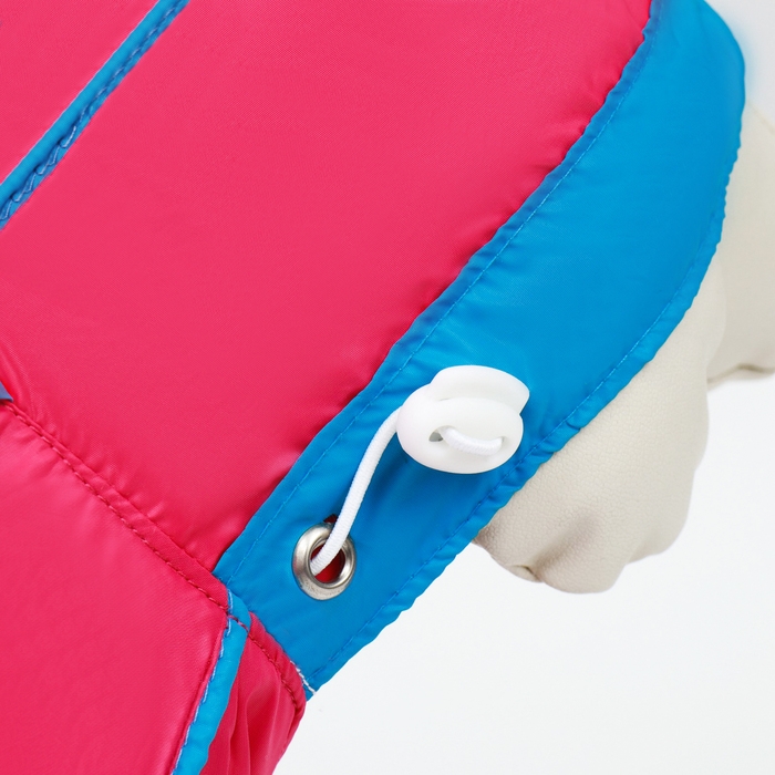 Комбинезон для собак, демисезонный с сумкой, размер XS (ДС 21, Ог 29, ОШ 19 см), розовый Комбинезон для собак, демисезонный с сумкой, размер XS (ДС 21, Ог 29, ОШ 19 см), розовый