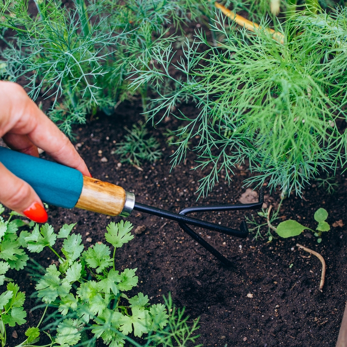 Рыхлитель Greengo, длина 30,5 см, 3 зубца, деревянная ручка с поролоном Рыхлитель Greengo, длина 30,5 см, 3 зубца, деревянная ручка с поролоном