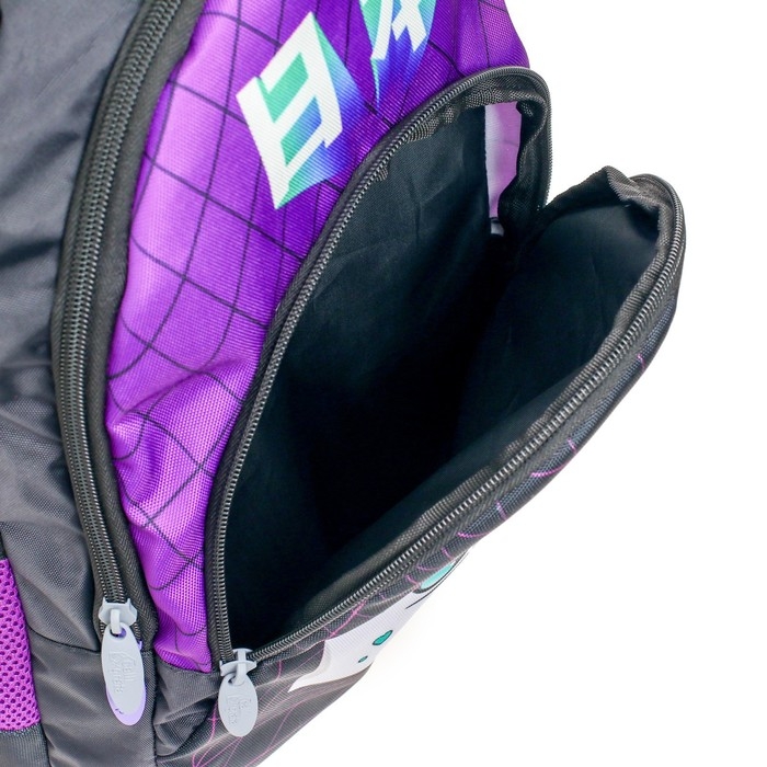 Рюкзак молодёжный, 44 х 30 х 17 см, эргономичная спинка, Calligrata Р  Рюкзак молодёжный, 44 х 30 х 17 см, эргономичная спинка, Calligrata Р "Модный"