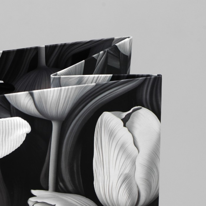 Пакет подарочный под две бутылки, упаковка, Tulip, тиснение, 35 х 20 х 9 см Пакет подарочный под две бутылки, упаковка, Tulip, тиснение, 35 х 20 х 9 см