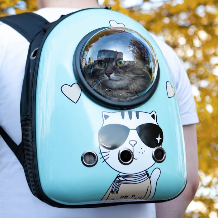 Рюкзак для переноски кошек  Рюкзак для переноски кошек "Гламуррр", с окном для обзора, 32 х 25 х 42 см, голубой