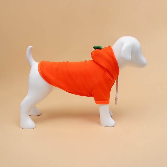 Толстовка Толстовка "Любимая морковка", размер XL (ДС 40, ОГ 56 см)