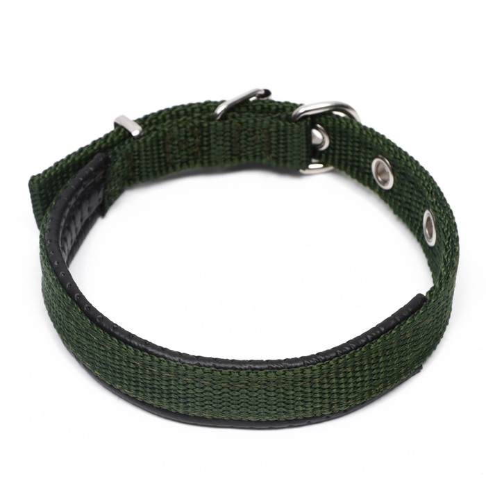 Ошейник Ошейник "Комфорт" комбинированный (полиэстер, иск. кожа) 39 х 1,5 см, ОШ 28-35 см, тёмно-зелёный 609
