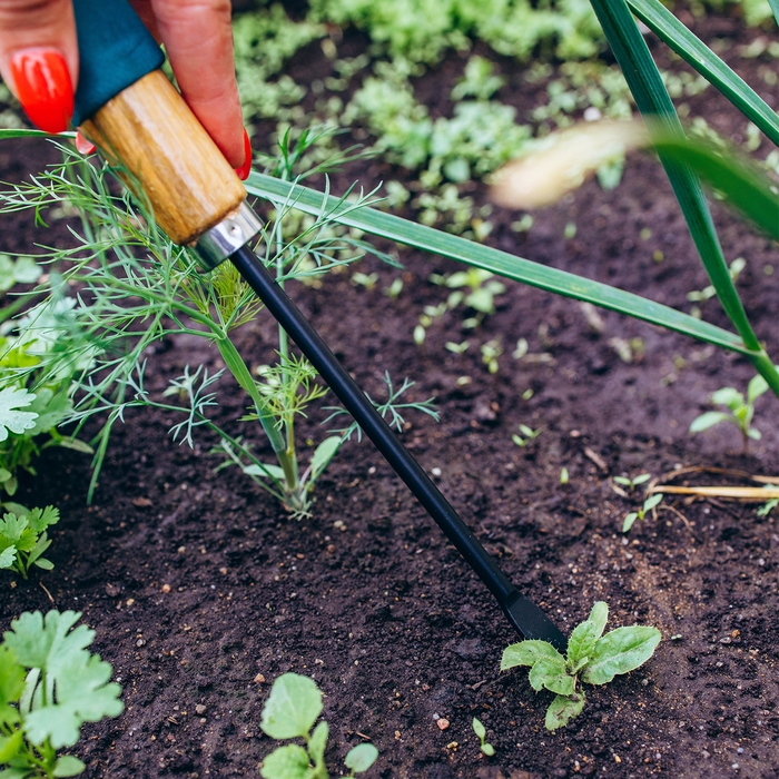 Корнеудалитель, длина 30 см, деревянная ручка с поролоном, Greengo Корнеудалитель, длина 30 см, деревянная ручка с поролоном, Greengo