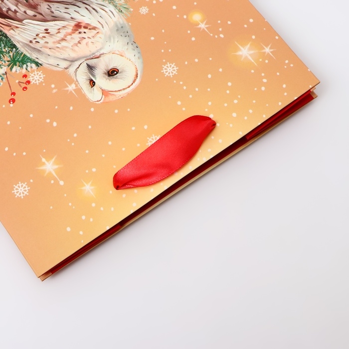 Пакет подарочный "Совушка", 18 х 22,3 х 10 см
