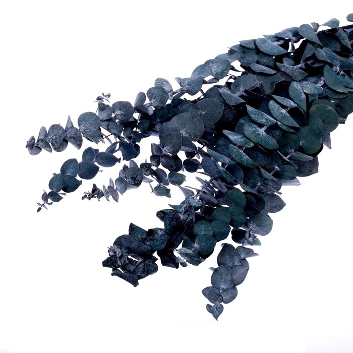 Сухоцвет «Эвкалиптовое дерево», голубой, 10 шт. в упаковке Сухоцвет «Эвкалиптовое дерево», голубой, 10 шт. в упаковке