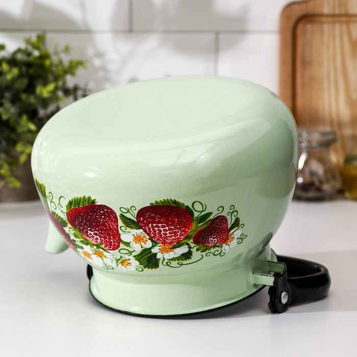 Чайник сферический, 3 л, индукция, деколь МИКС, цвет салатовый Чайник сферический, 3 л, индукция, деколь МИКС, цвет салатовый