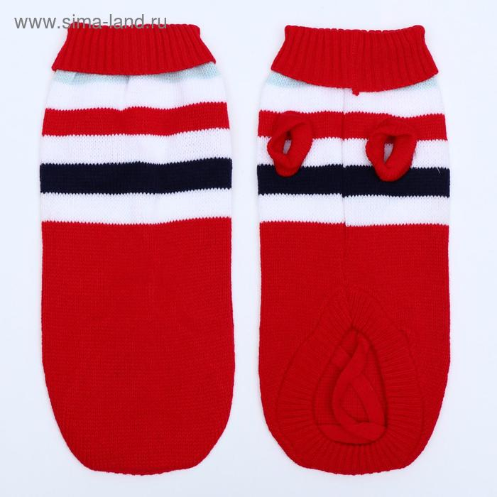 Свитер, размер 14 (ДС 40-55, ОШ 20-35, ОГ 36-51 см), микс расцветок Свитер, размер 14 (ДС 40-55, ОШ 20-35, ОГ 36-51 см), микс расцветок