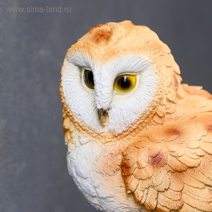 Подвесной декор Подвесной декор "Совенок на ветке" 19х9х17,2см