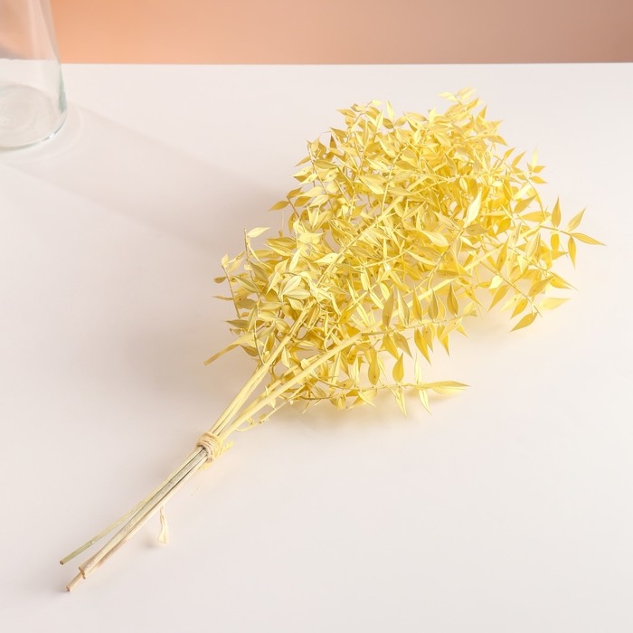 Набор сухоцветов Набор сухоцветов "Рускус", банч 5-6 шт, длина 50-60 (+/- 6 см), желтый