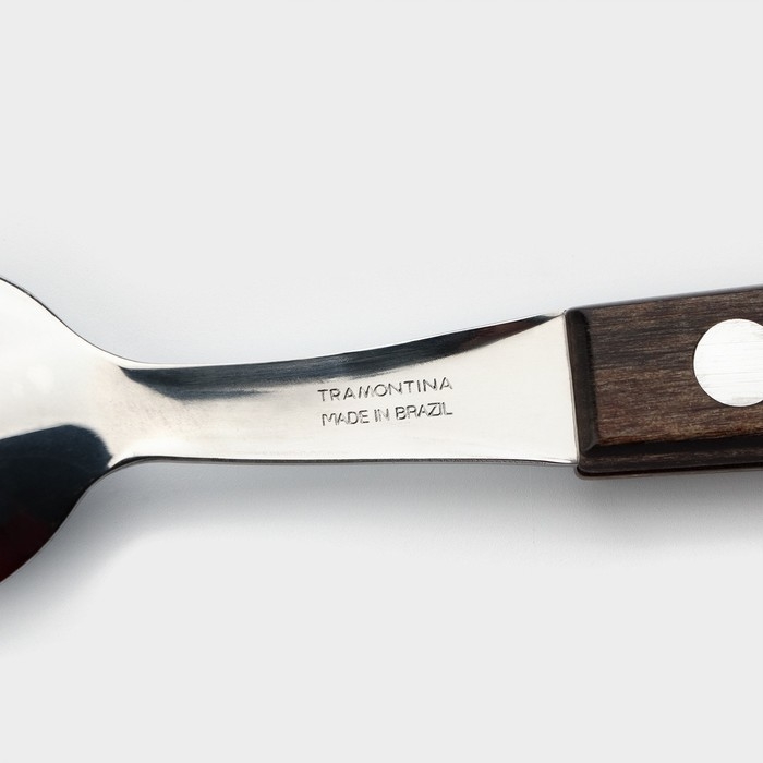 Ложка чайная Tramontina Polywood, цвет коричневый Ложка чайная Tramontina Polywood, цвет коричневый