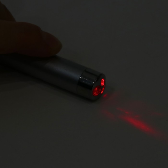 Лазерная указка  Лазерная указка "Мастер К", с карабином, 2 LED, 7 х 1.5 см