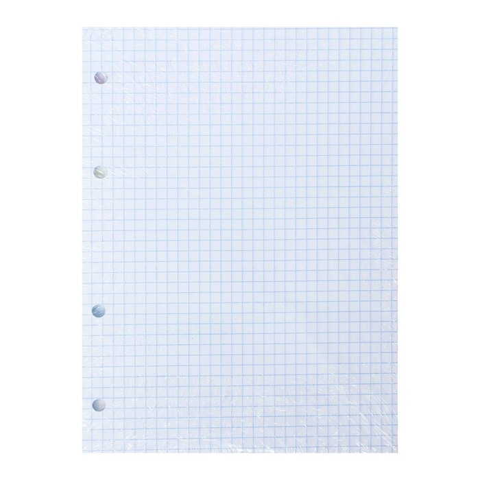 Сменный блок для тетрадей на кольцах А5, 80 листов в клетку, белый, 60 г/м2 Сменный блок для тетрадей на кольцах А5, 80 листов в клетку, белый, 60 г/м2