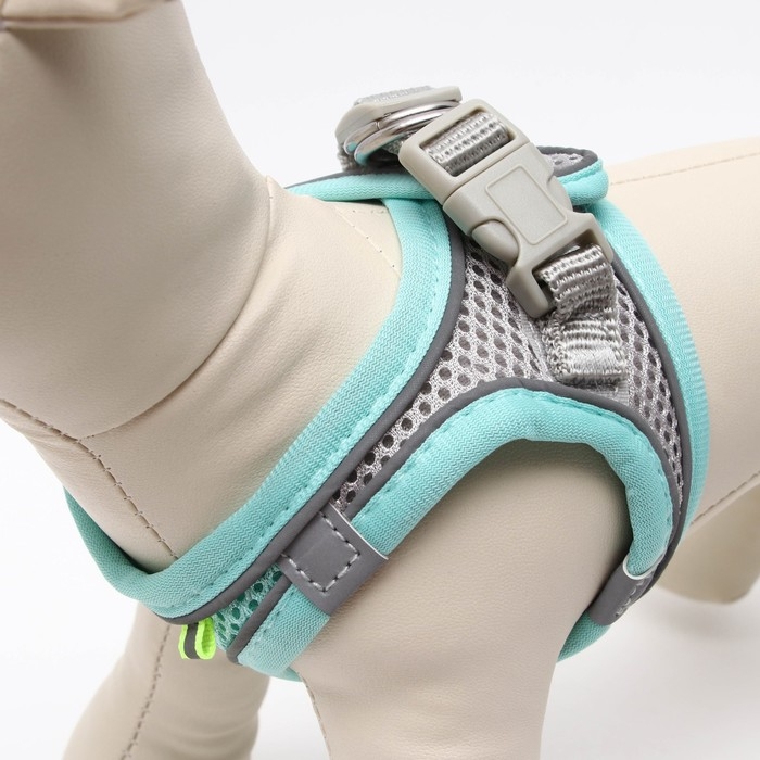 Комплект с мягкой шлейкой, быстросъемный, XS, поводок 150 х1,5 см, ОШ 29-32 ОГ 31-34 см, бирюзовый Комплект с мягкой шлейкой, быстросъемный, XS, поводок 150 х1,5 см, ОШ 29-32 ОГ 31-34 см, бирюзовый