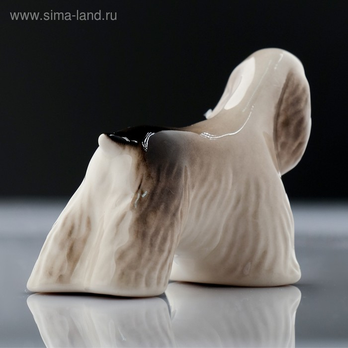Сувенир «Кокер - спаниель», стоящий, 9×4×6 см, ручная работа, фарфор Сувенир «Кокер - спаниель», стоящий, 9×4×6 см, ручная работа, фарфор