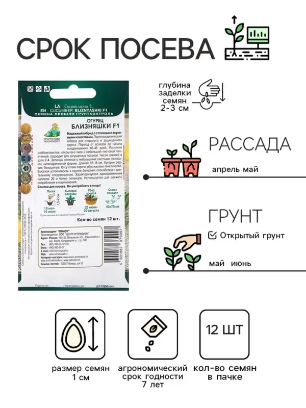 Семена Огурец Близняшки, F1, 12шт