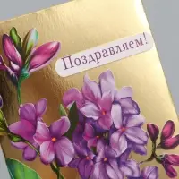 Конверт для денег &laquo;Поздравляем!&raquo;, сирень, 16,5 х 8 см