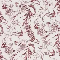 Пленка для цветов, "Романтика", винный, 57х57 см