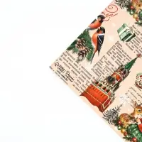 Набор упаковочной бумаги «Новогодняя», 4 листа, 70 × 100 см Набор упаковочной бумаги «Новогодняя», 4 листа, 70 × 100 см