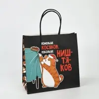 Набор пакетов подарочных новогодних &laquo;Так тебе и надо&raquo;, 6 шт., 22&times;22&times;11 см