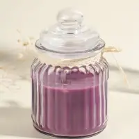 Ароматическая свеча в банке &laquo;Чёрный чай и слива&raquo;, 180 г, 45 ч