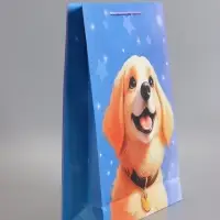 Пакет подарочный "Дружок-компаньон" 33 х 42,5 х 10 см