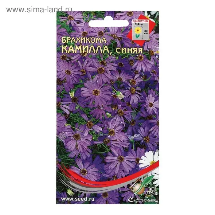 Семена цветов Брахикома Семена цветов Брахикома "Камилла", синяя, 150 шт